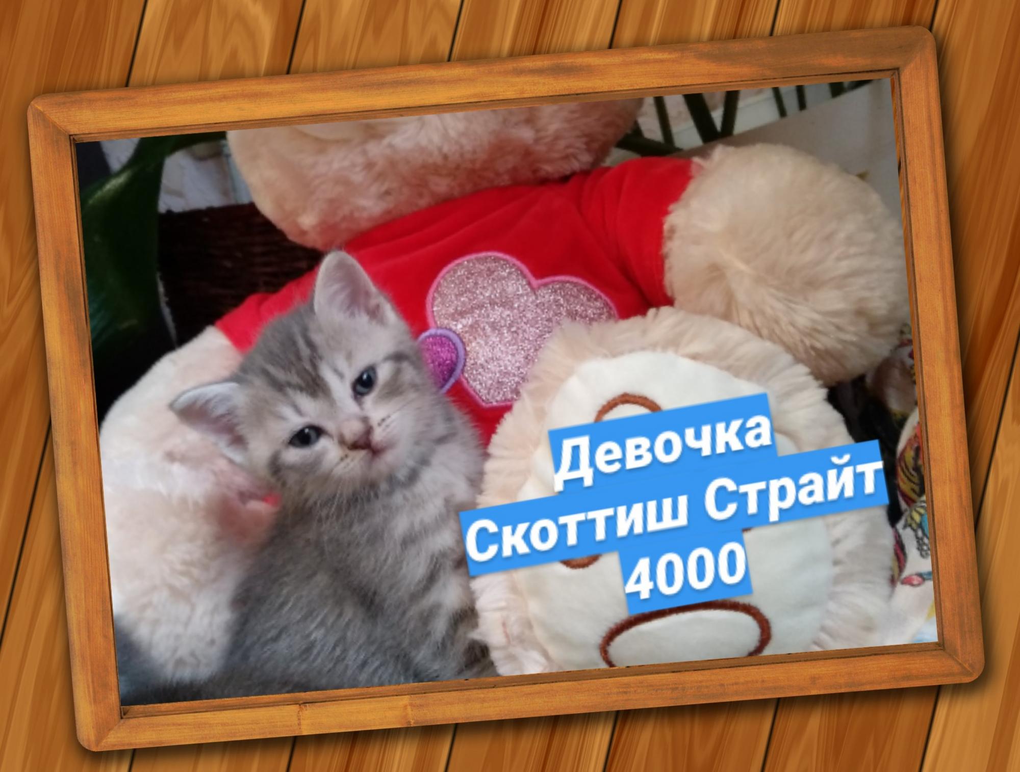 5f27aebf70b2cc00297a8b9b-1.jpg