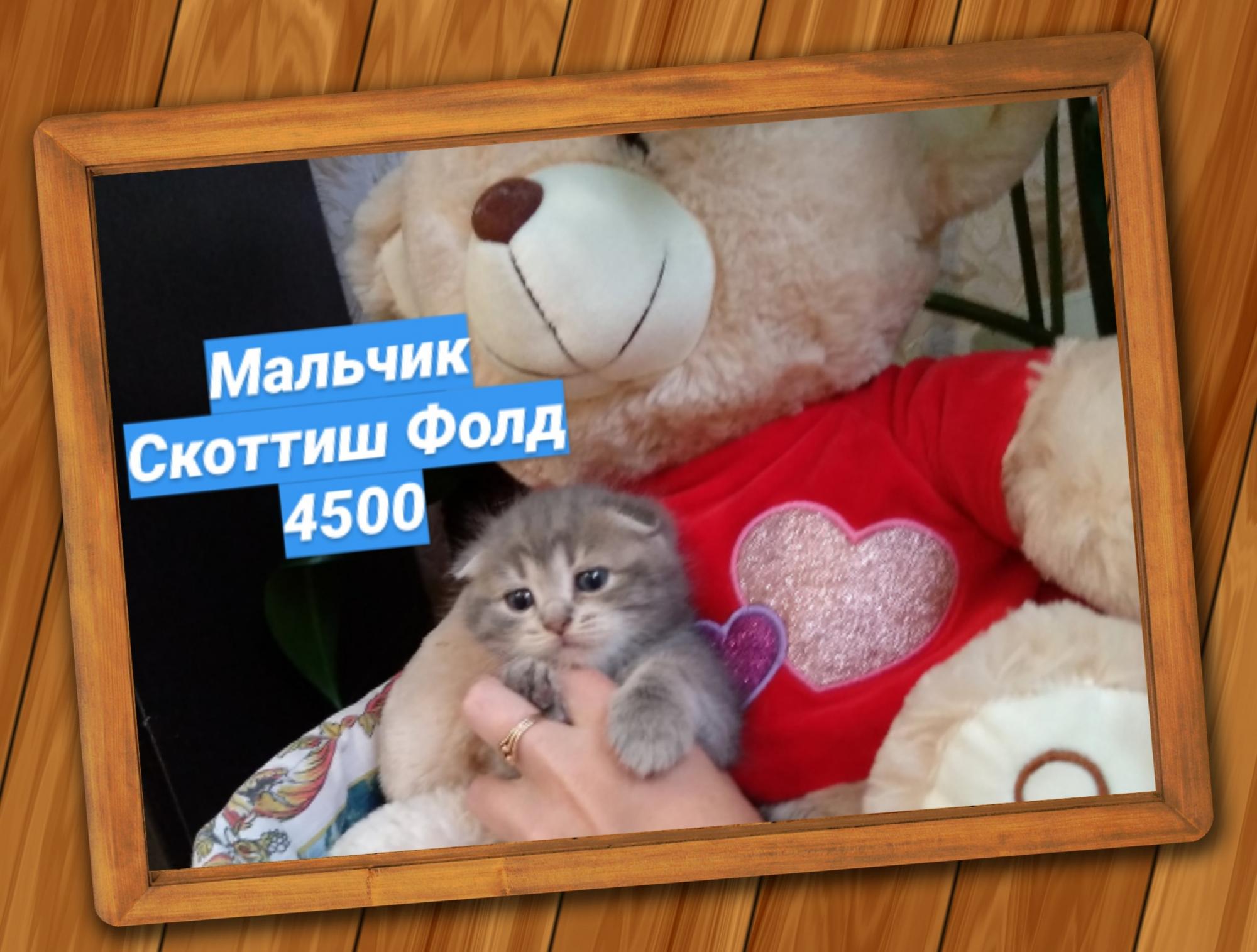 5f27aec1b977b56c64781af6-1.jpg