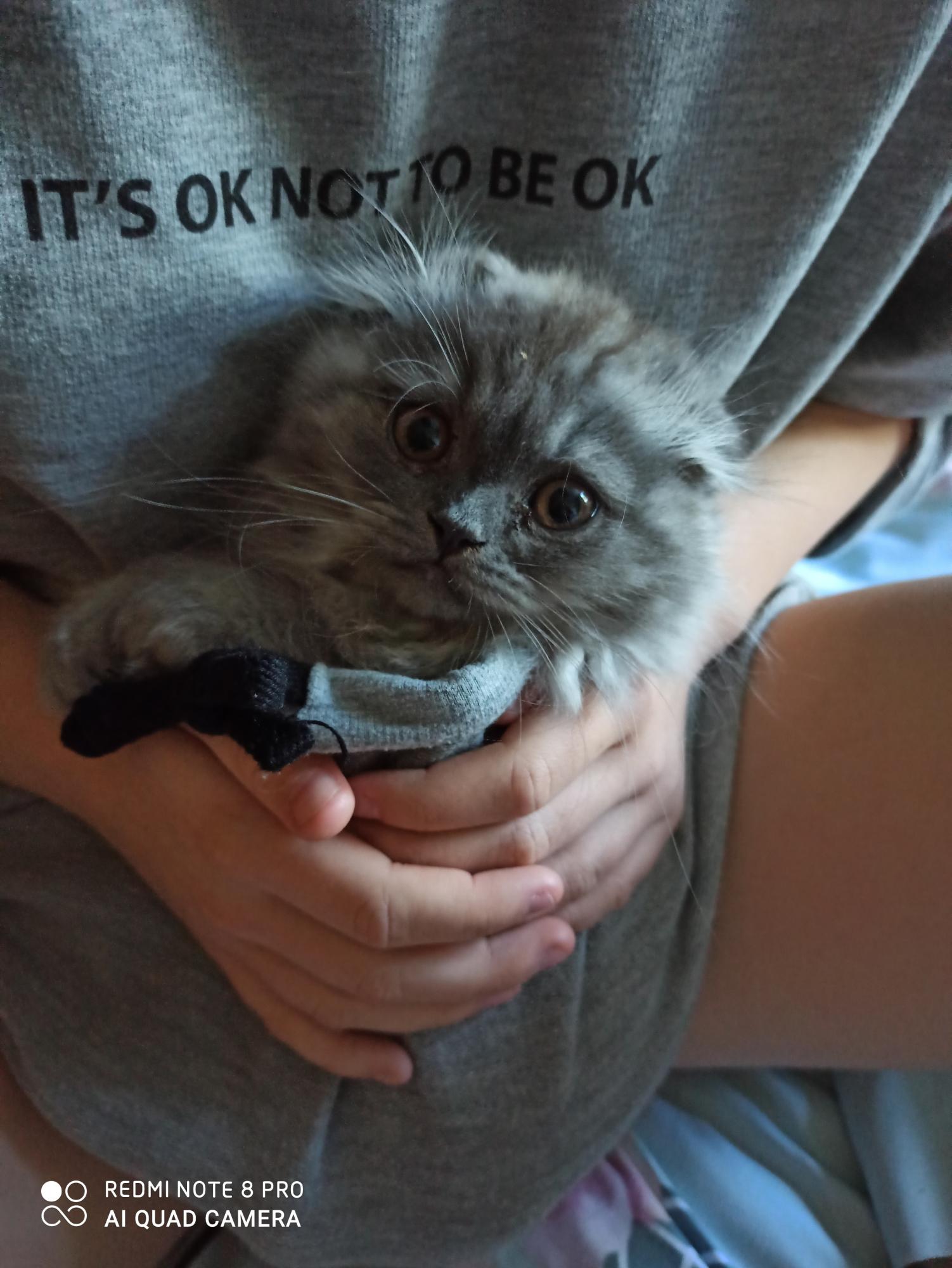 5f5ba731366f8a32e8530d76-1.jpg