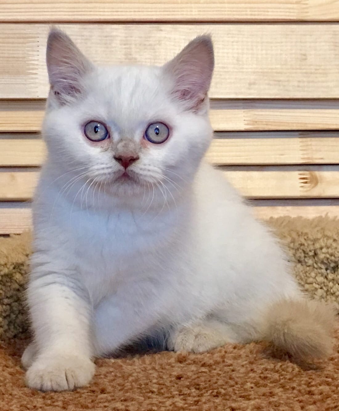 3C49F037-A086-4F63-8180-079FACA585CB