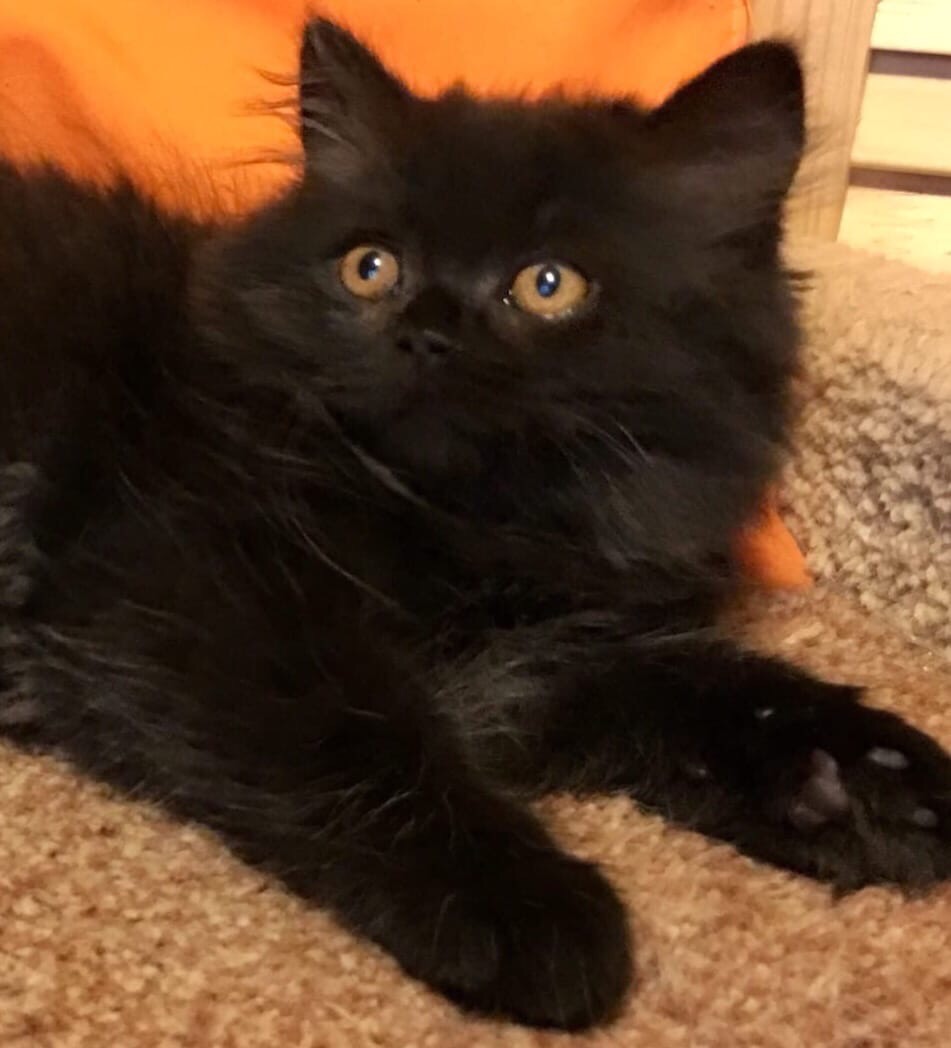 CC7828CA-730E-4389-BCCE-3A8450FA1550