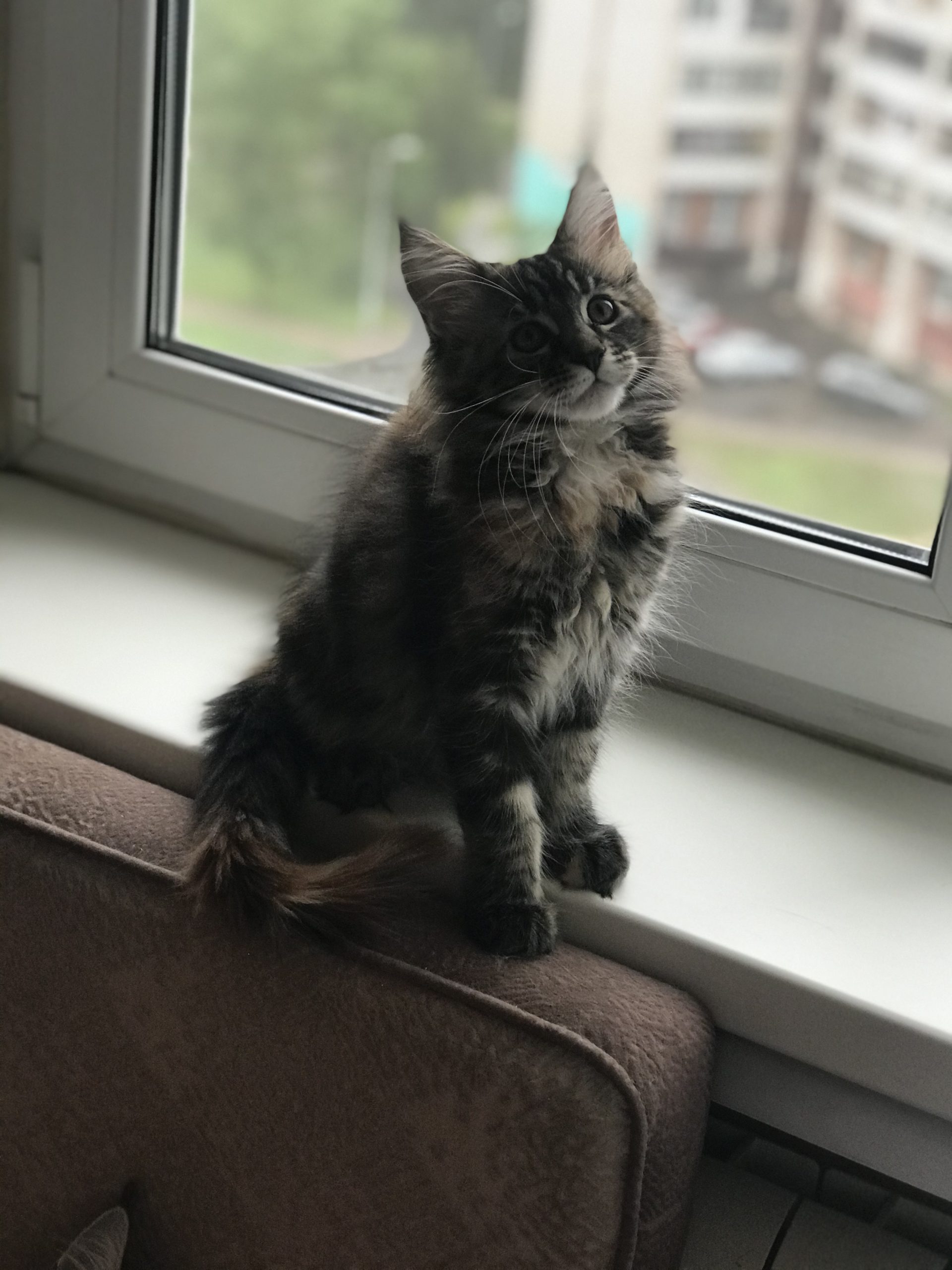 0399D2ED-9D4E-4496-9BD7-98508F06A0AE