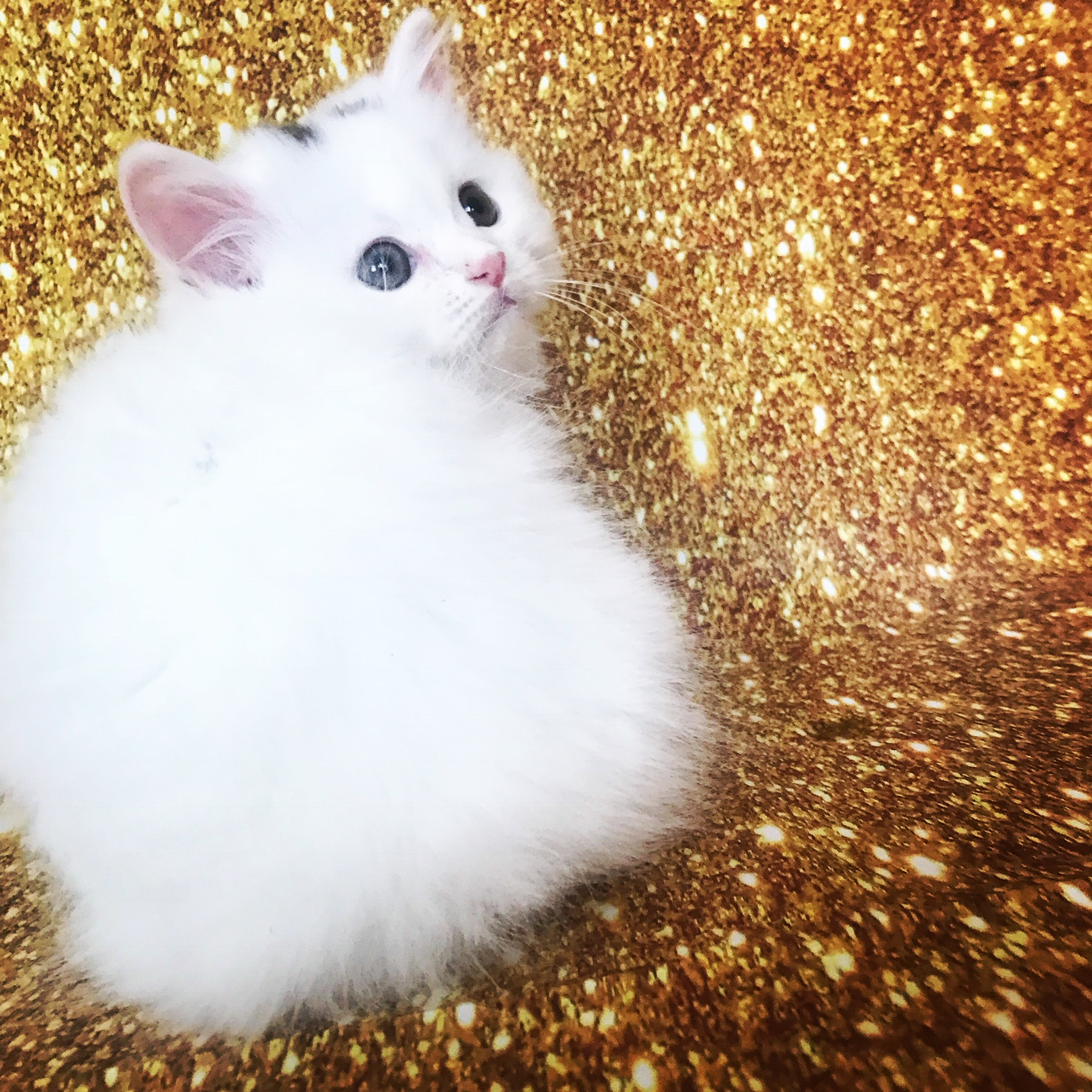 3CDF87B4-27F6-4CBC-AAF0-0754CAD890CD