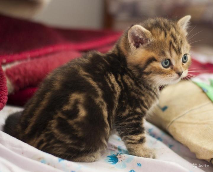 5e3a890422a44980824fb203