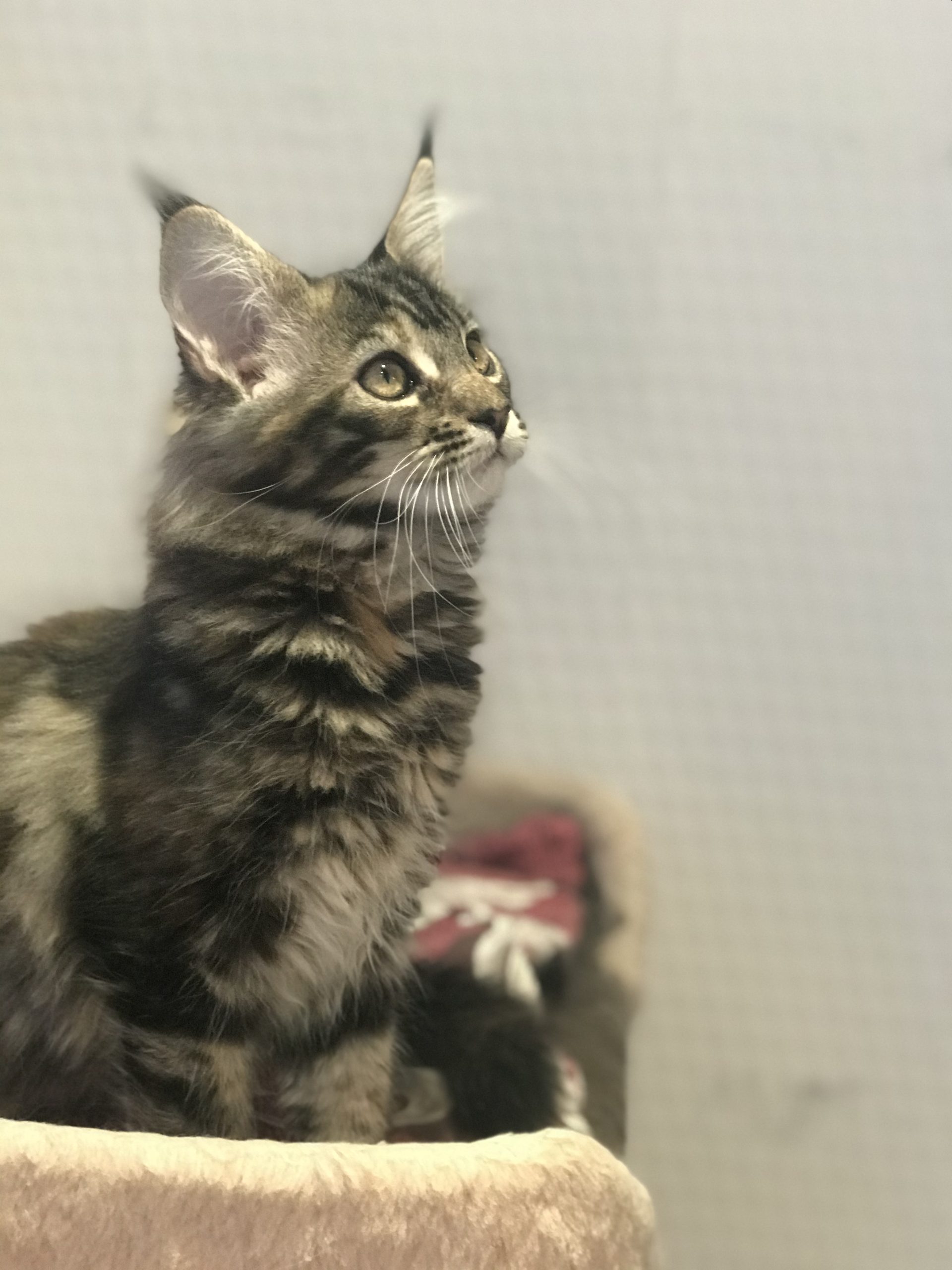 8783BE6A-4C4F-403B-99EA-95B25EABD021