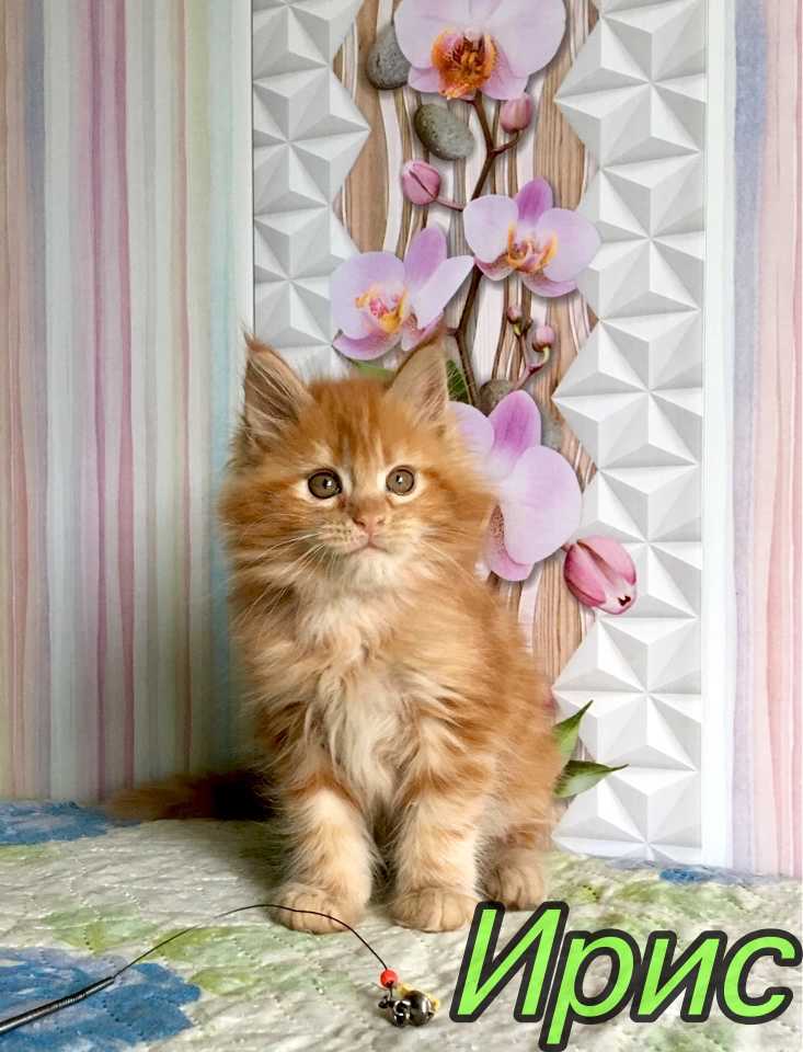 FullSizeRender-16-09-20-08-49-2