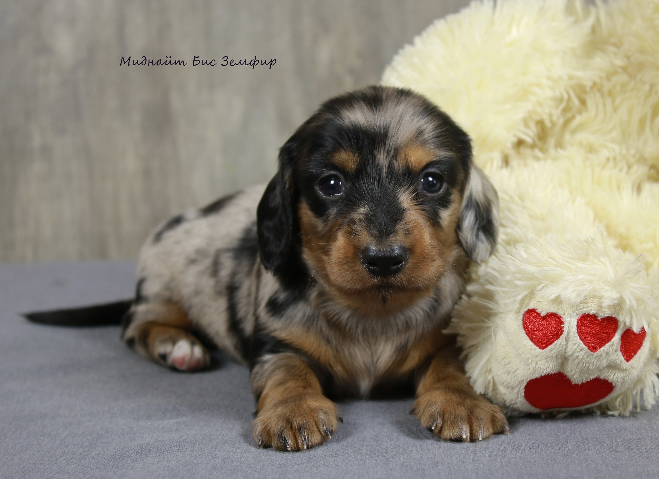 IMG_20200907_210912_124