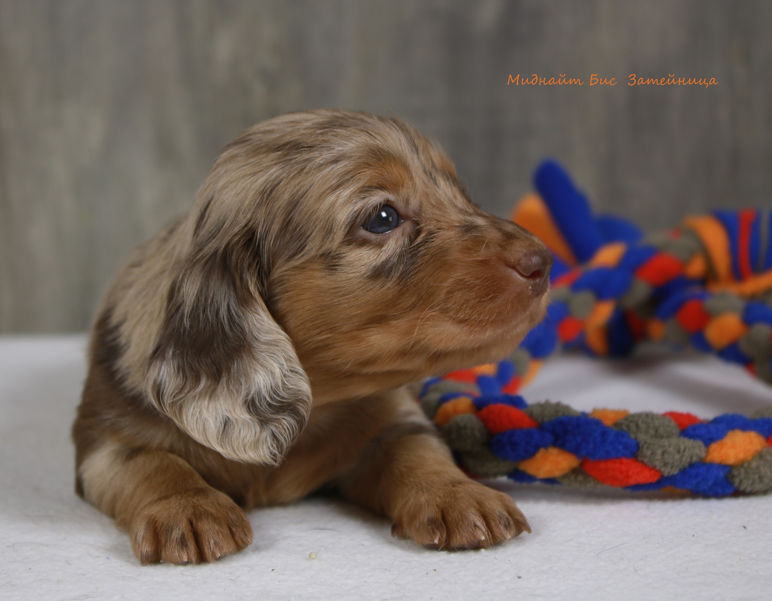 IMG_20200908_182330_282