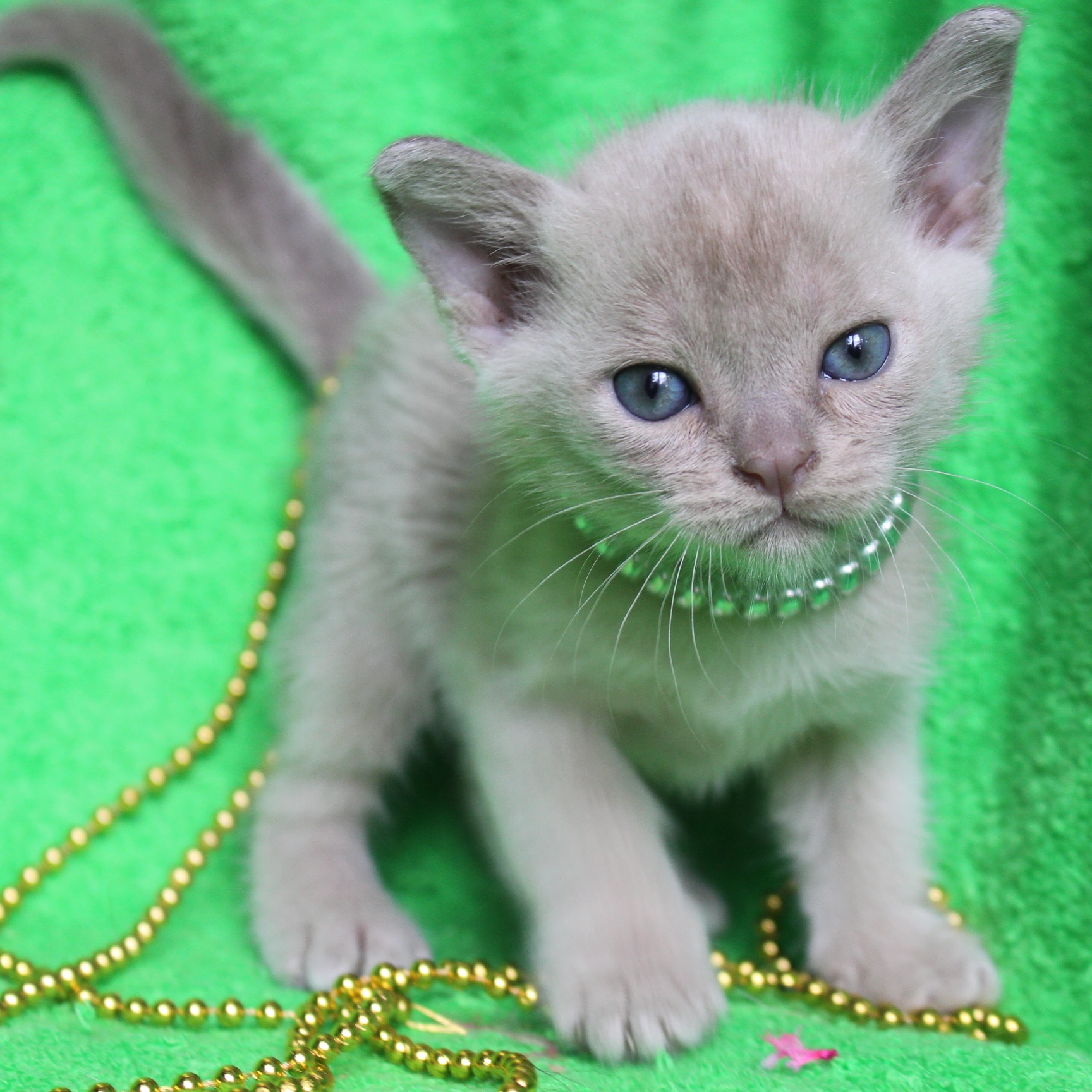 IMG_20200910_081211_702