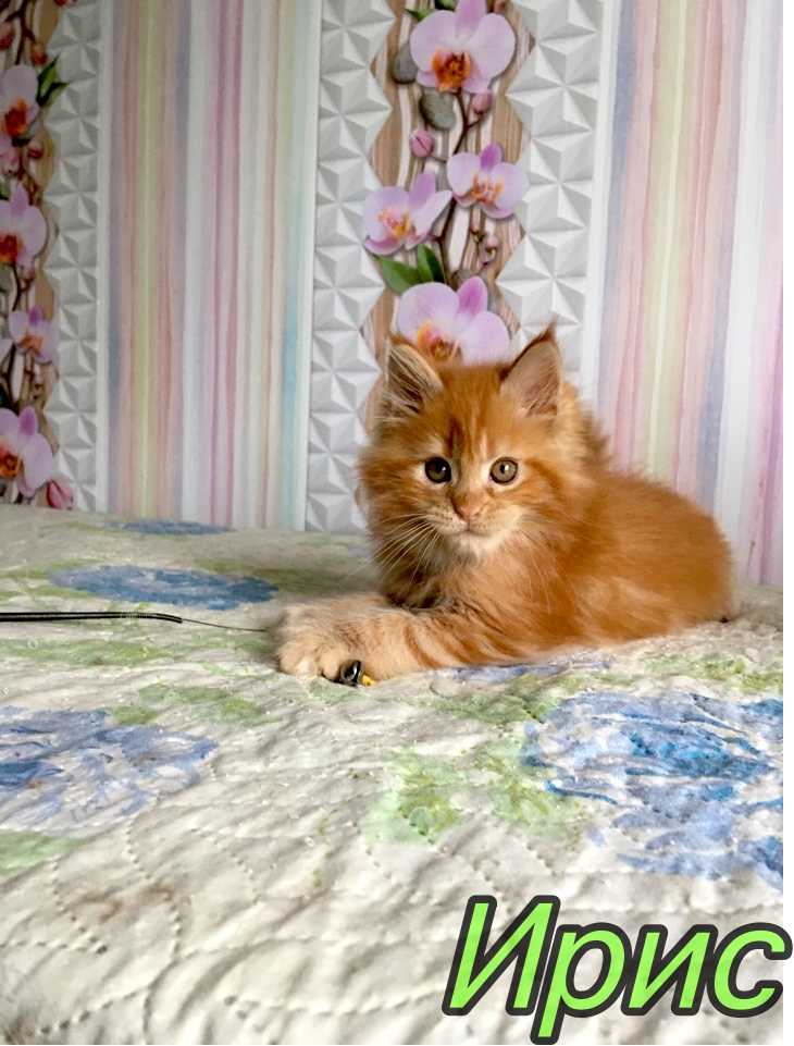 IMG_9049-16-09-20-08-49