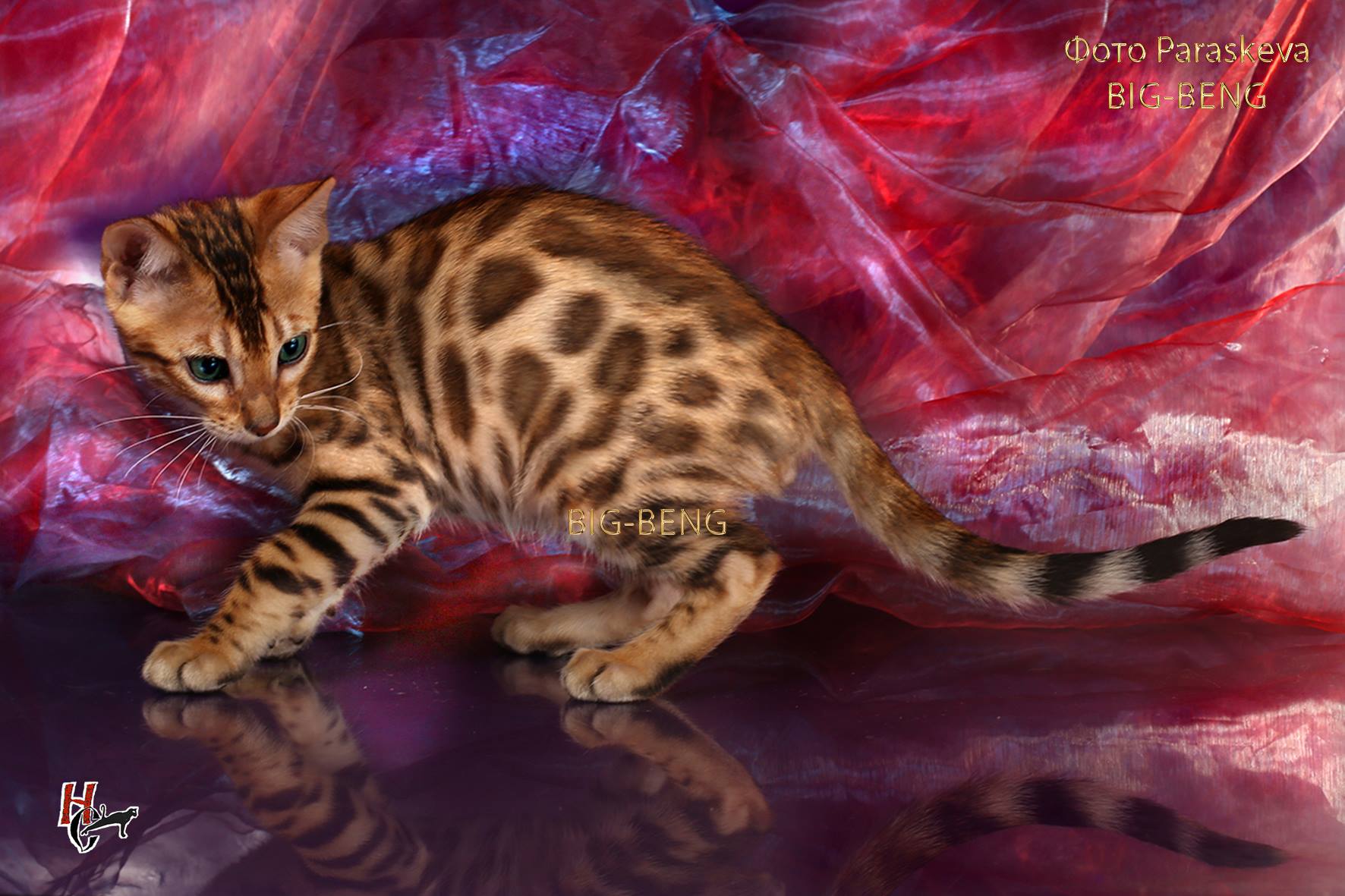 42692952_1923400554373621_6482563108161191936_o