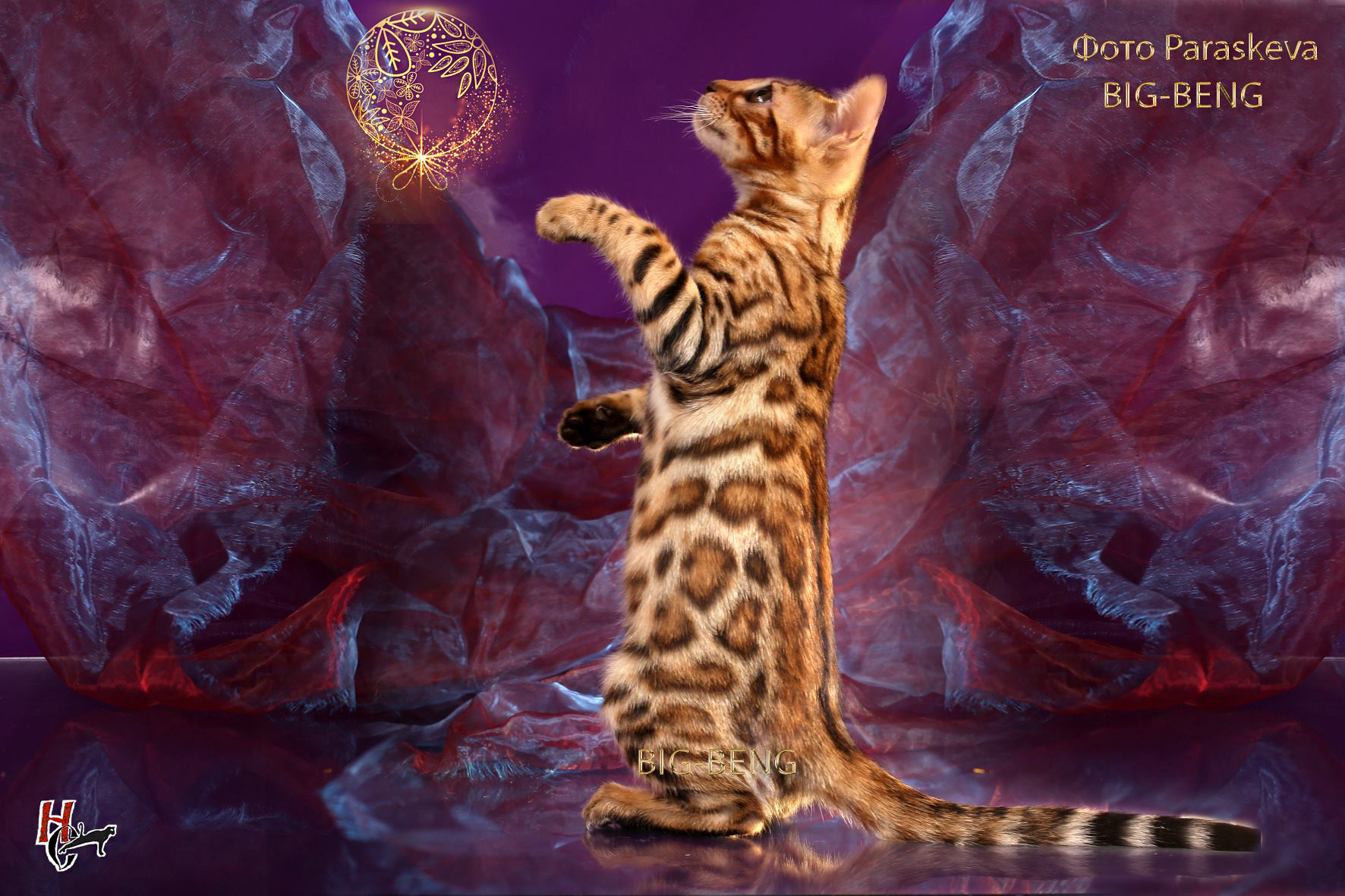 42872938_1928496070530736_3705027248399581184_o