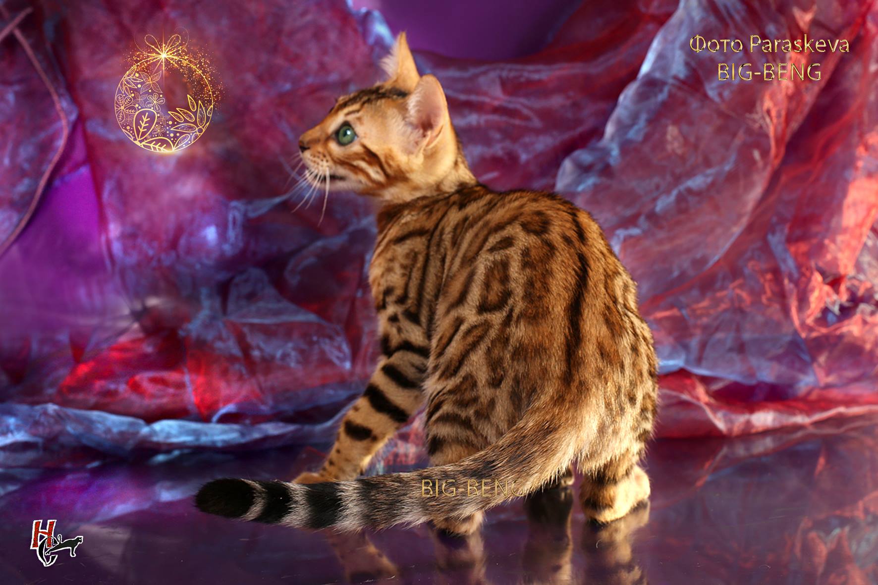 43018902_1928496093864067_1015101437211836416_o