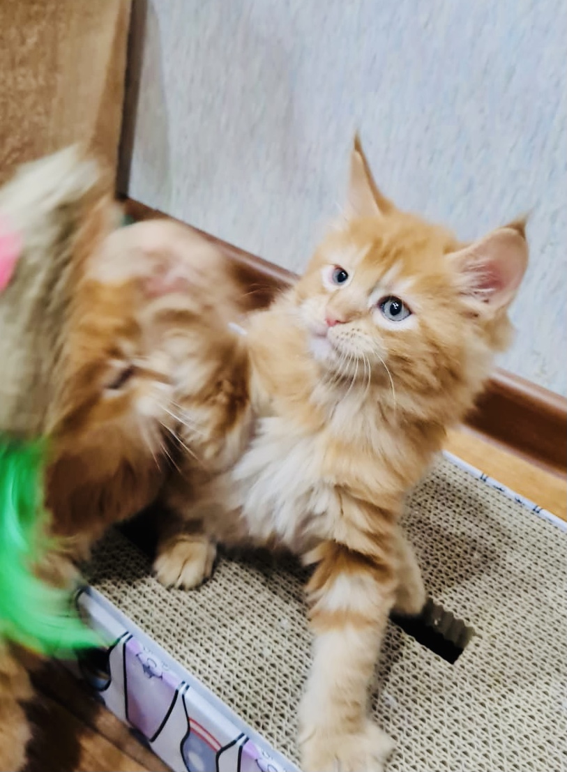 10619CB2-B787-4A7D-945C-EBCC16075F83