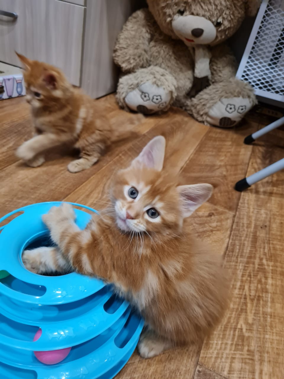 1D39A8D4-8C3C-4D1B-9169-B7514B66A889