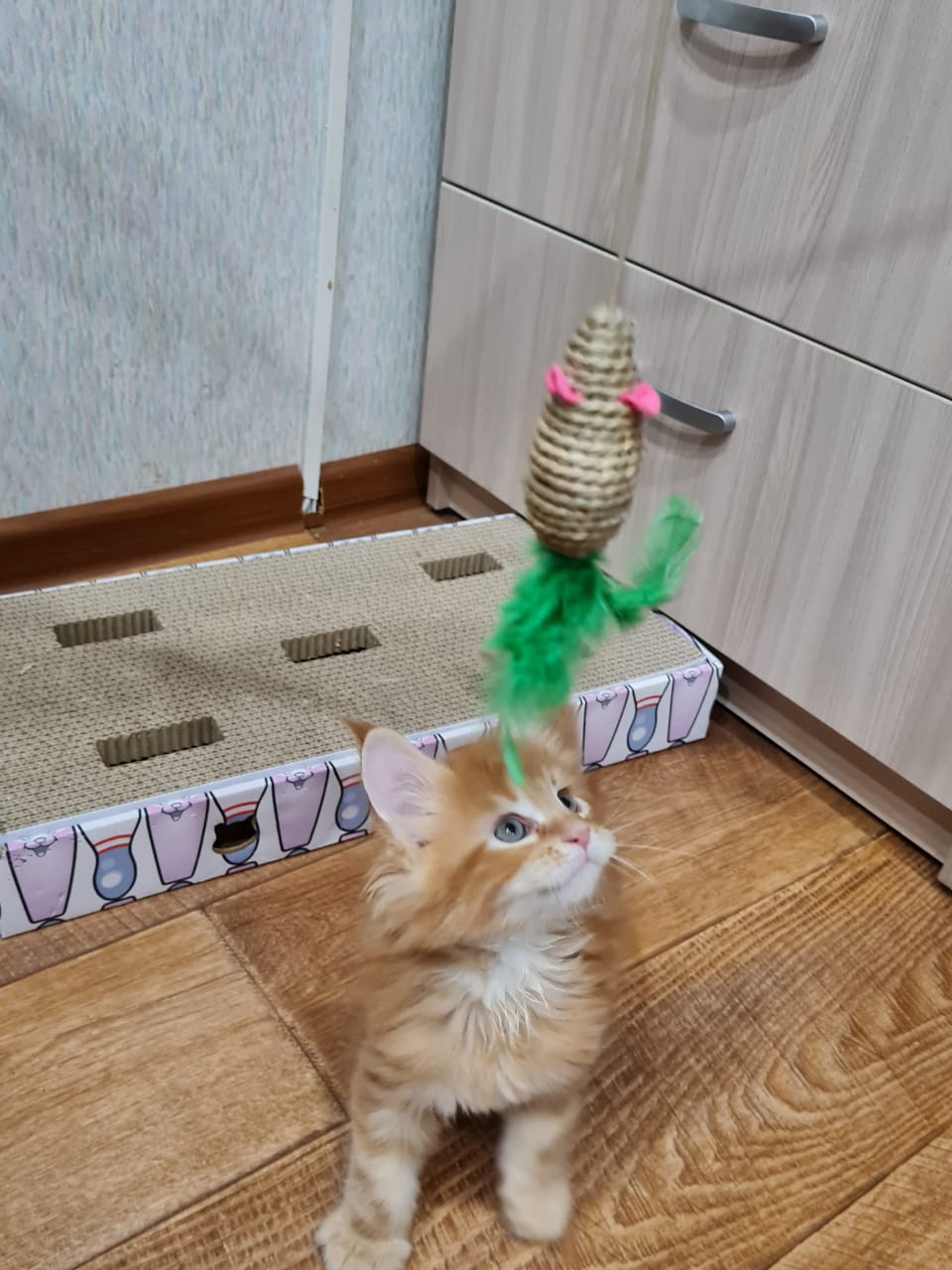 B3B76A0B-5407-49D9-94D0-5A05F55CBF02