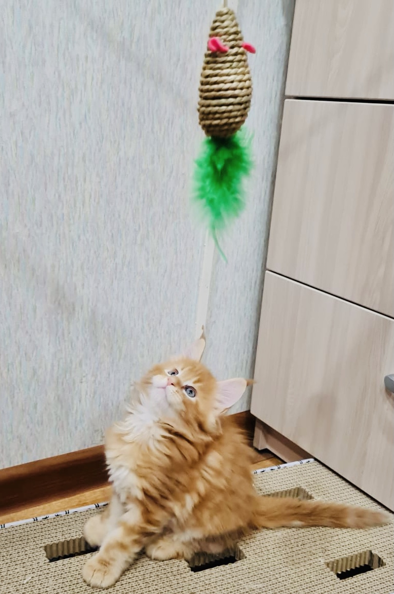 B74677E7-663D-4823-B788-E4A3444384AE