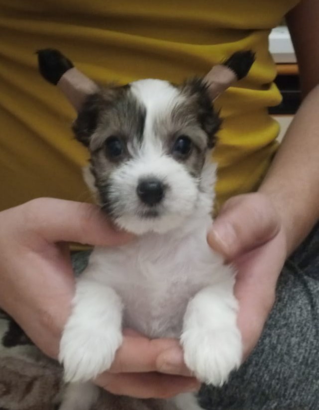 IMG_20201124_005113_859