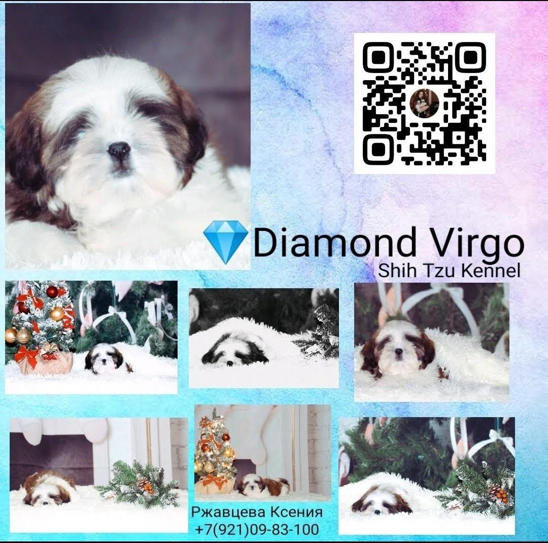 Screenshot_20201125-032931