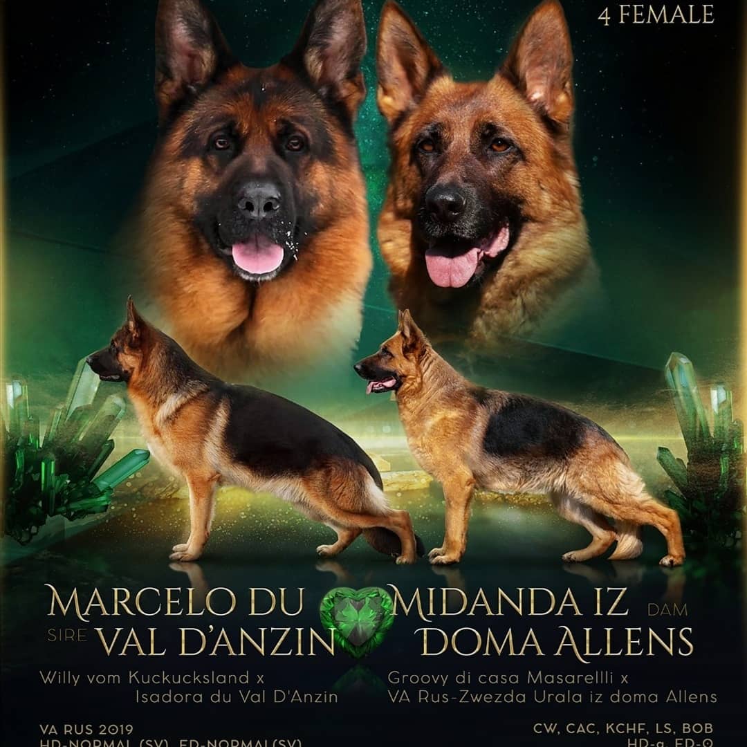 IMG_20201130_200538_201