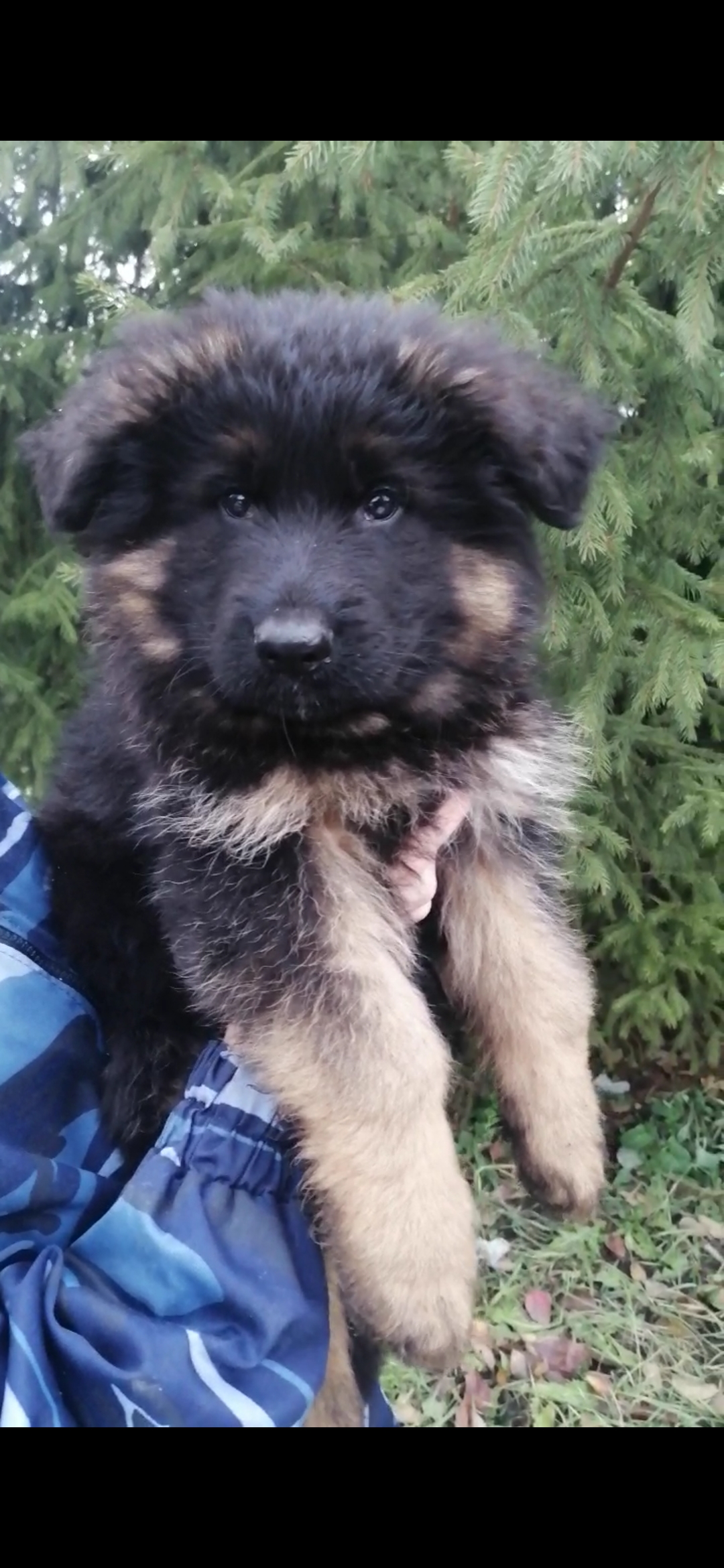 Screenshot_20201129_220653_com.whatsapp