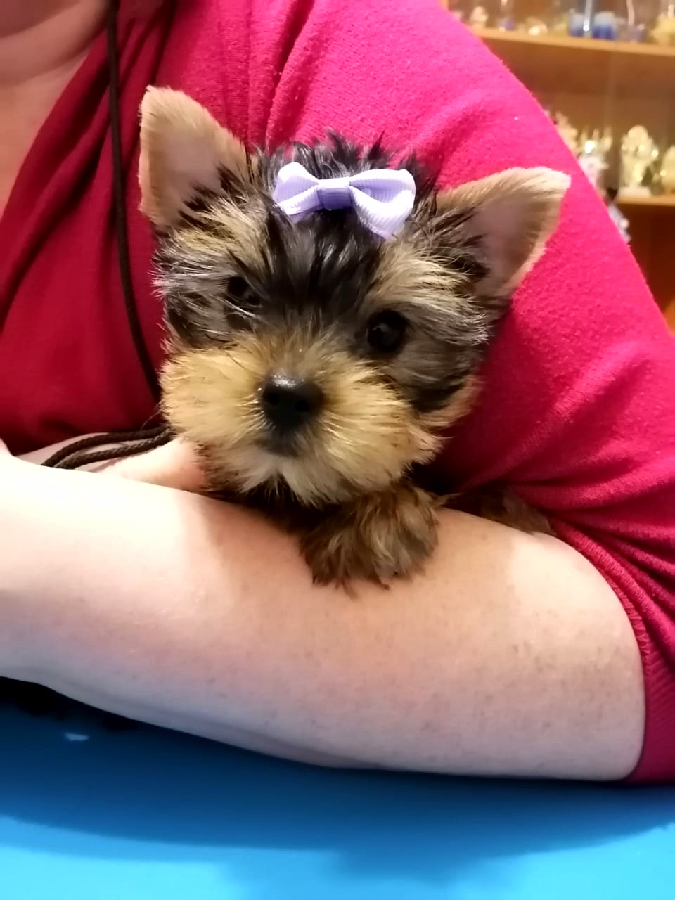 WhatsApp-Image-2020-12-25-at-22.10.08