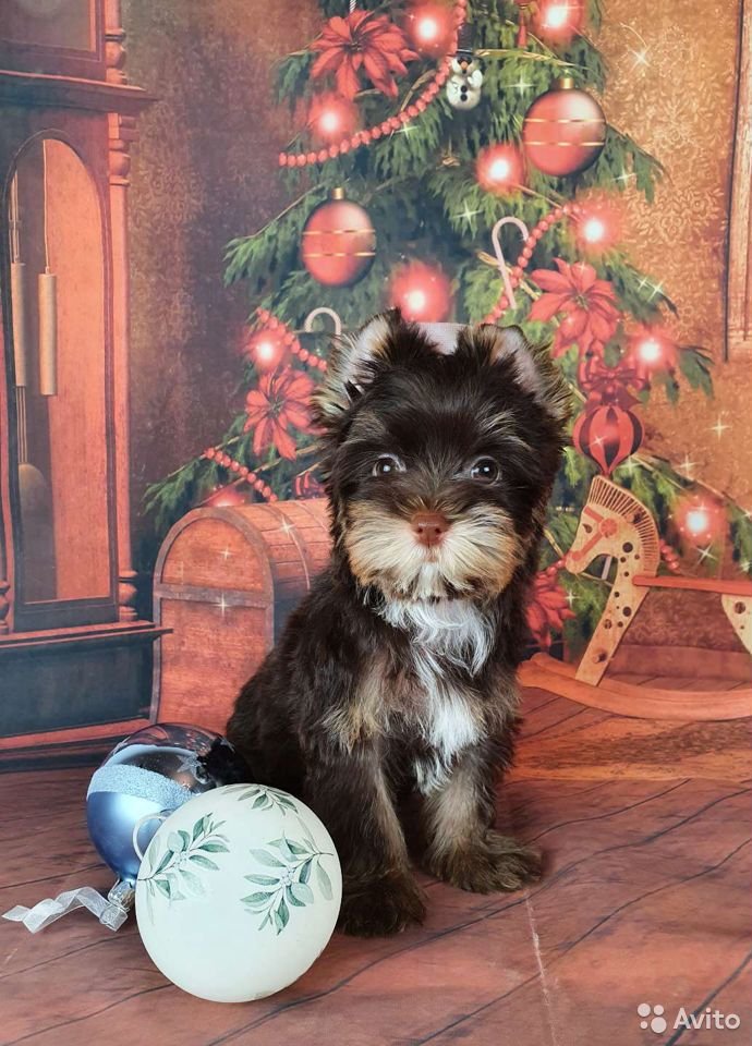 3b-H4LaxcVaxV_NbsZ_5-X1DcVI7QXtU