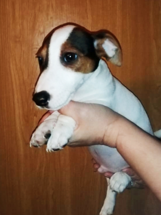 IMG-20210102-WA00031