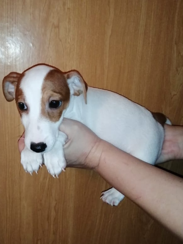 IMG-20210102-WA00291