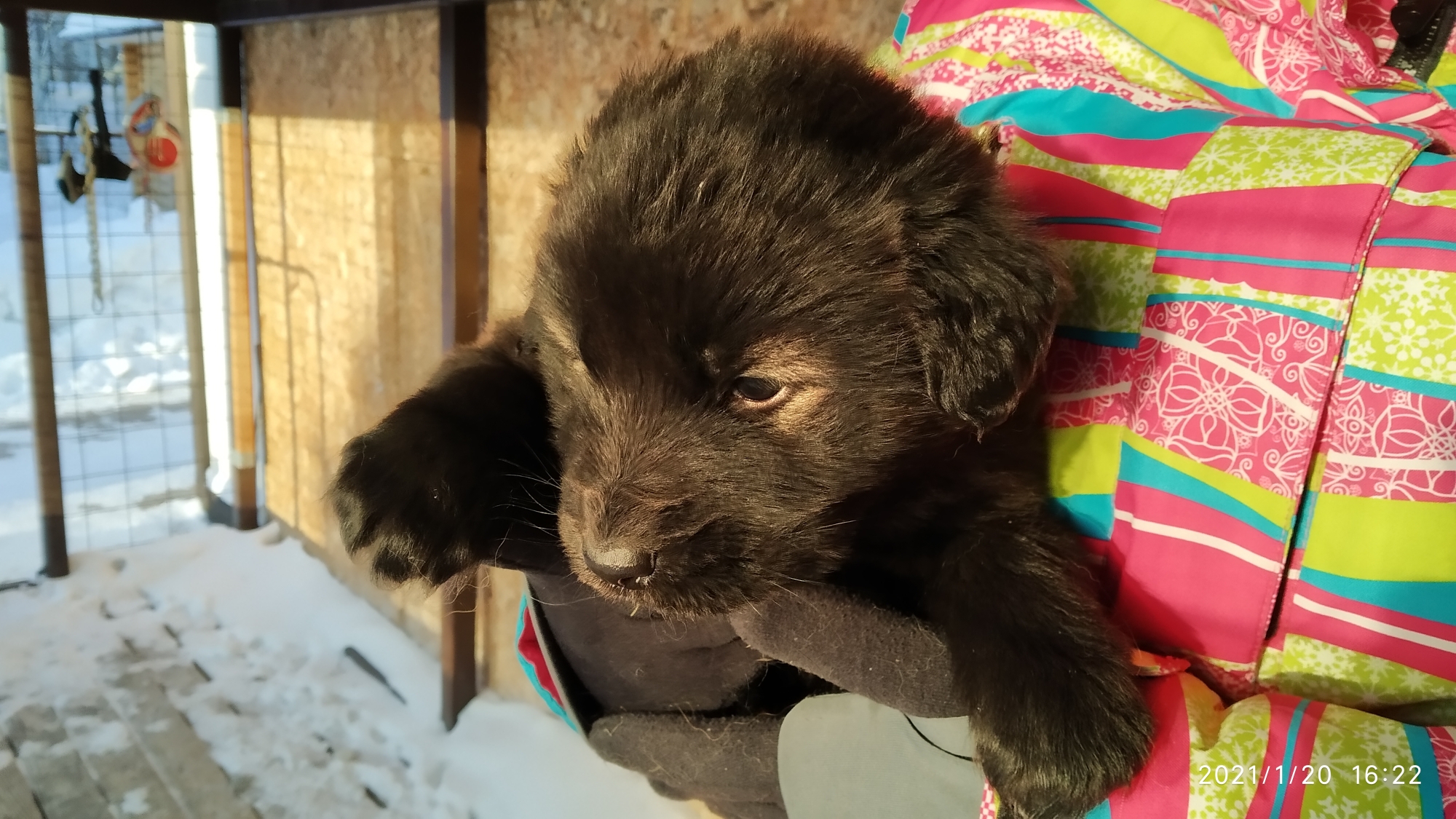IMG_20210120_162204