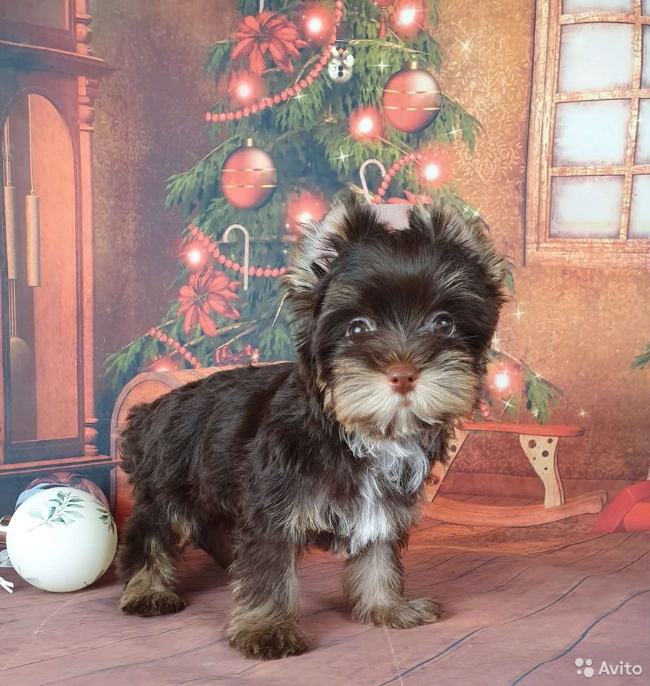 LajqkraxgUHcJQNMvOoJ7hAxgUVWM4tD