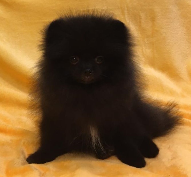 WhatsApp-Image-2020-12-18-at-20.20.17