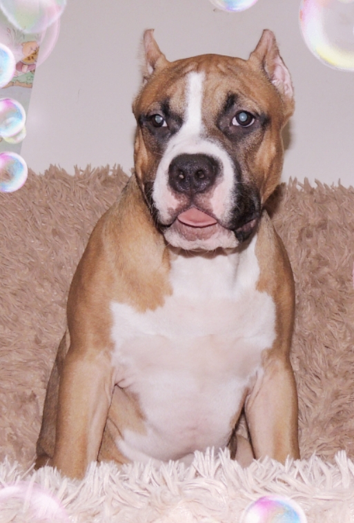 WhatsApp-Image-2021-01-06-at-19.07.50