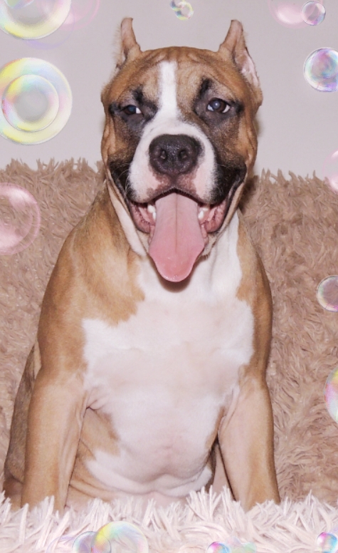 WhatsApp-Image-2021-01-06-at-19.08.01