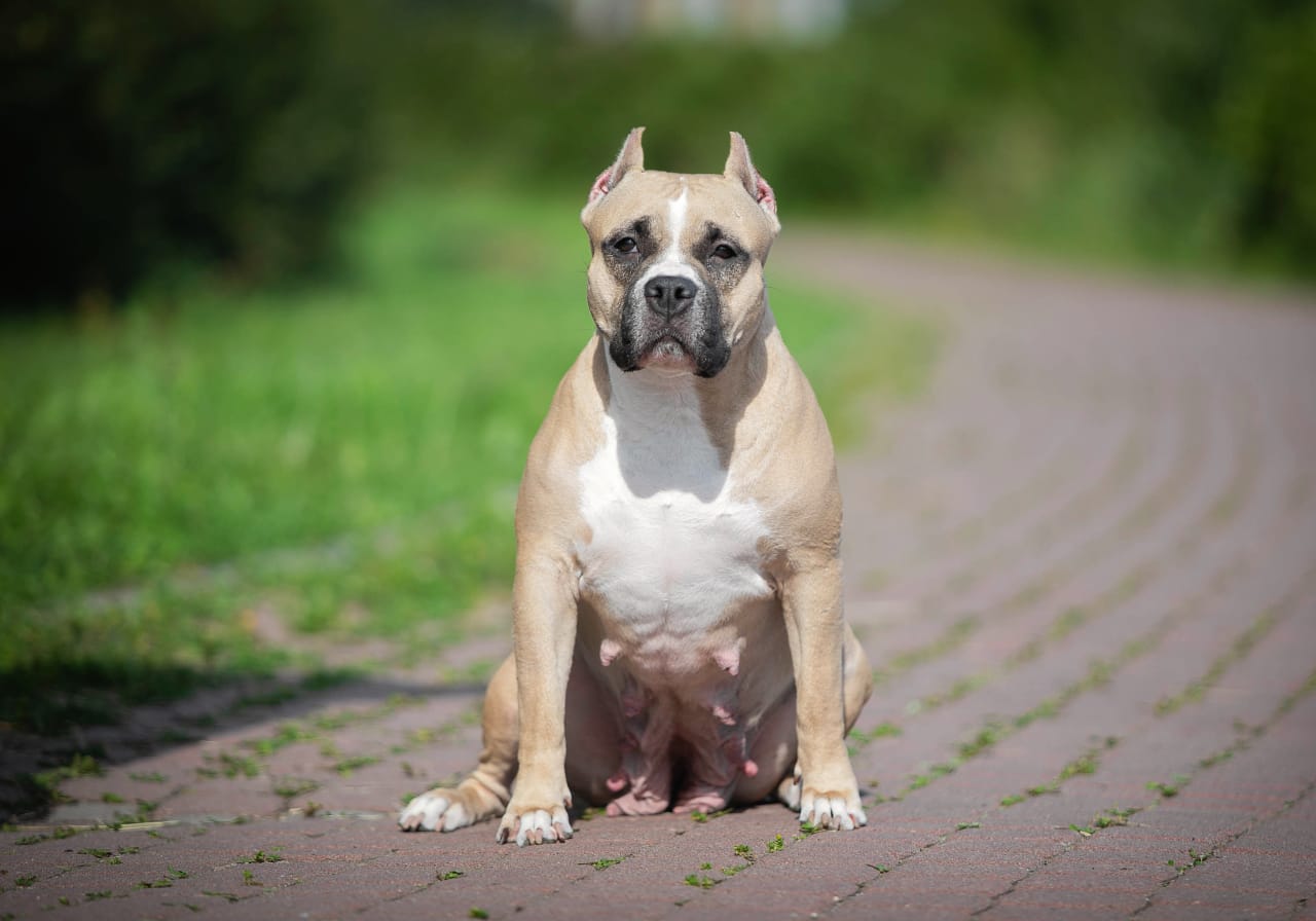 WhatsApp-Image-2021-01-06-at-19.42.25