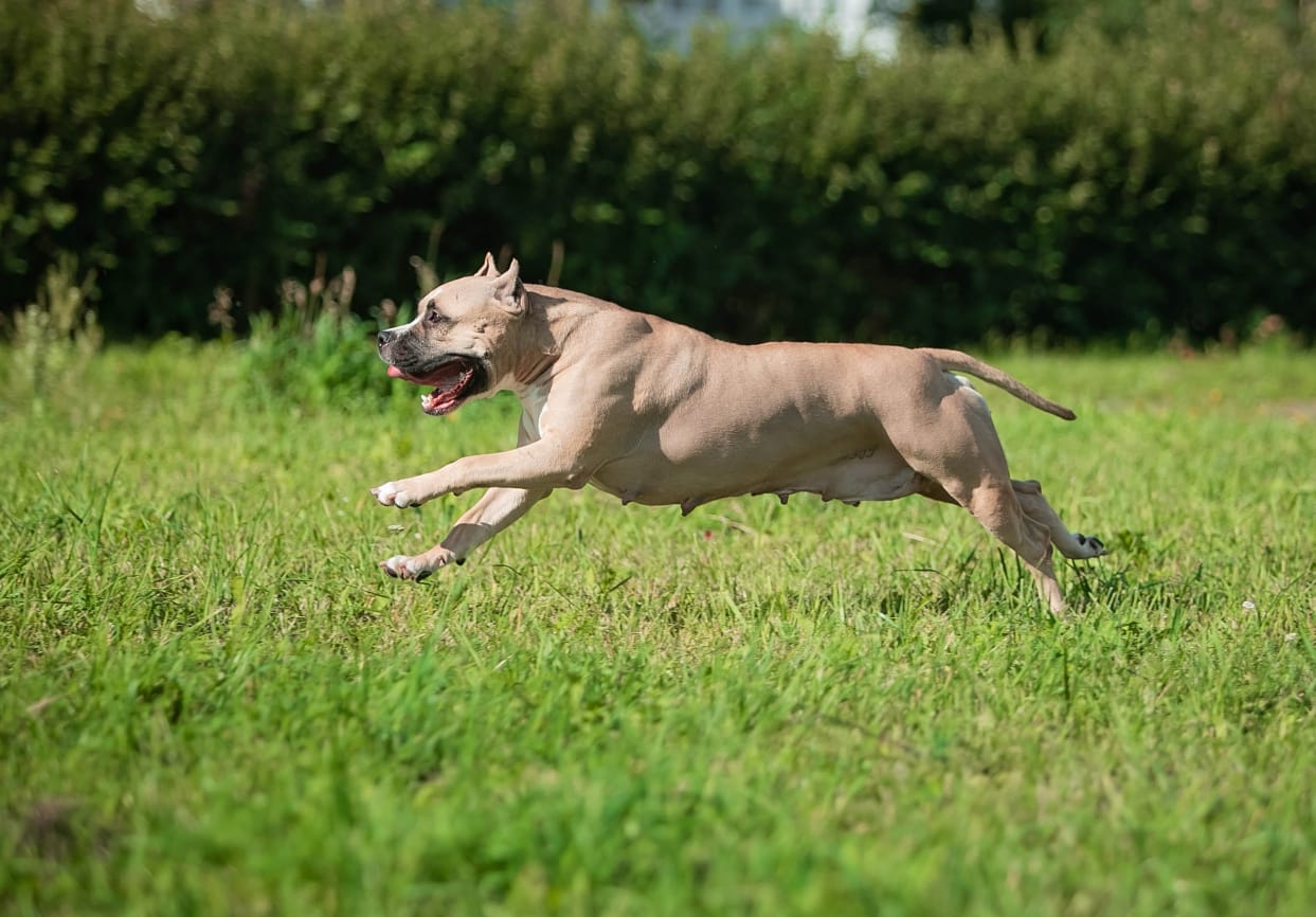 WhatsApp-Image-2021-01-06-at-19.42.26-1