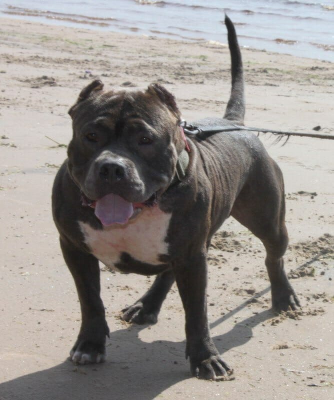 WhatsApp-Image-2021-01-06-at-19.44.43