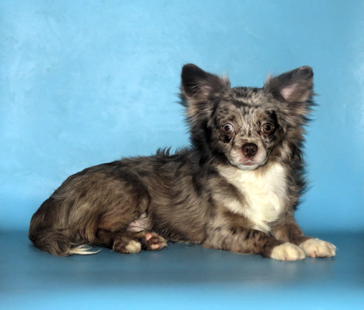 WhatsApp-Image-2021-01-17-at-20.04.36-1