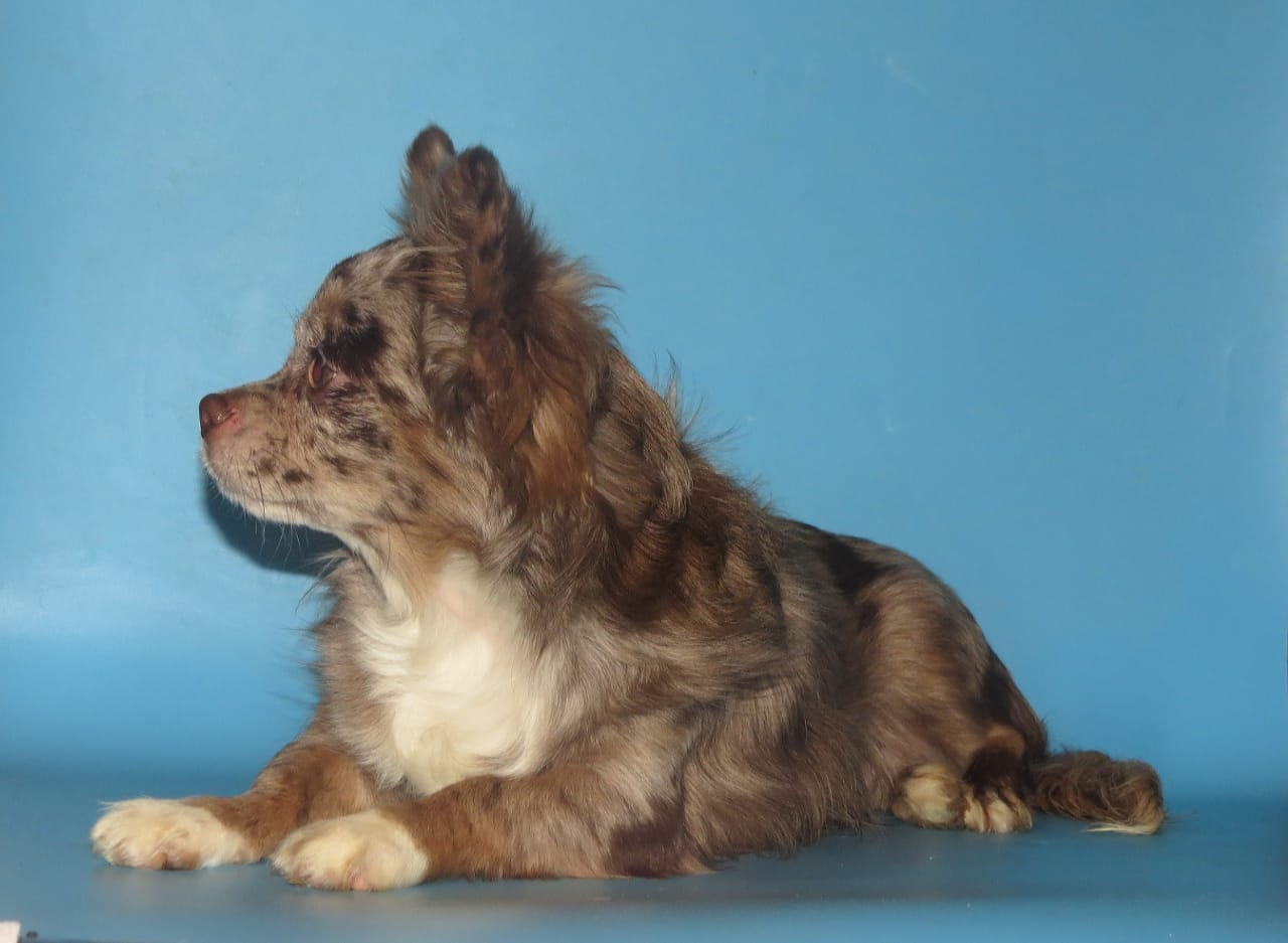 WhatsApp-Image-2021-01-17-at-20.06.37