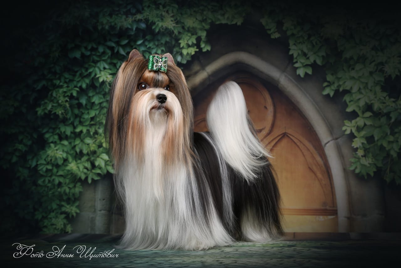 WhatsApp-Image-2021-01-19-at-11.39.17