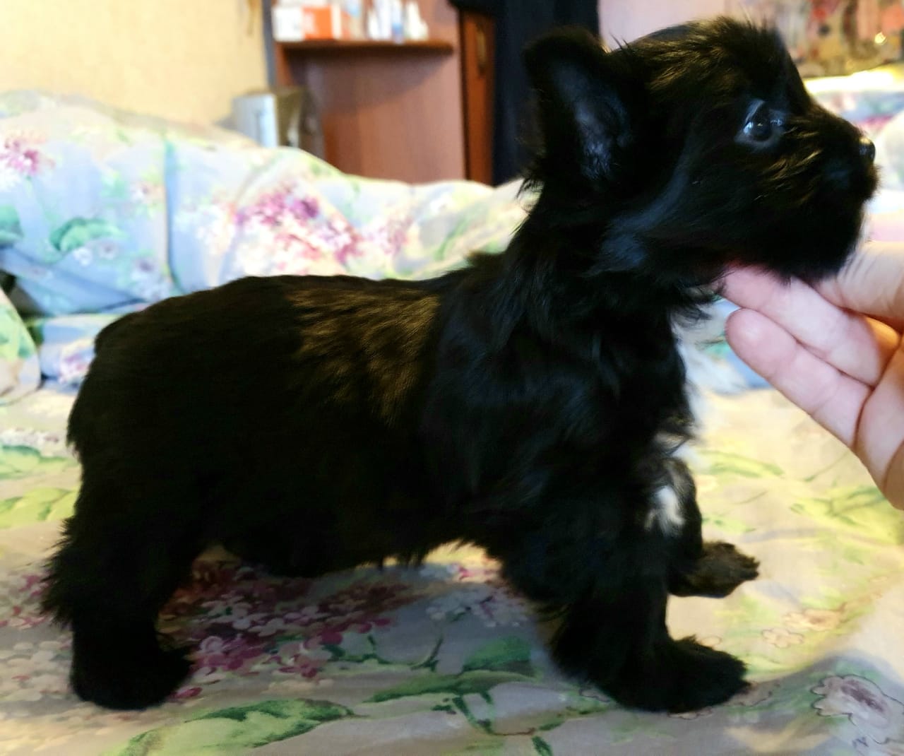 WhatsApp-Image-2021-01-19-at-11.42.18