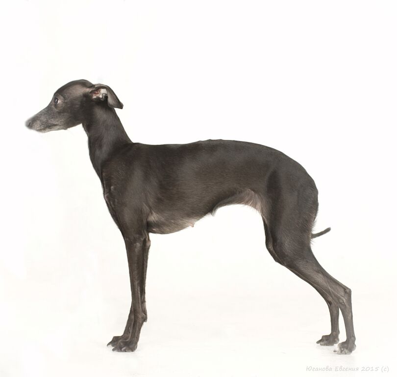 WhatsApp-Image-2021-01-25-at-12.34.02