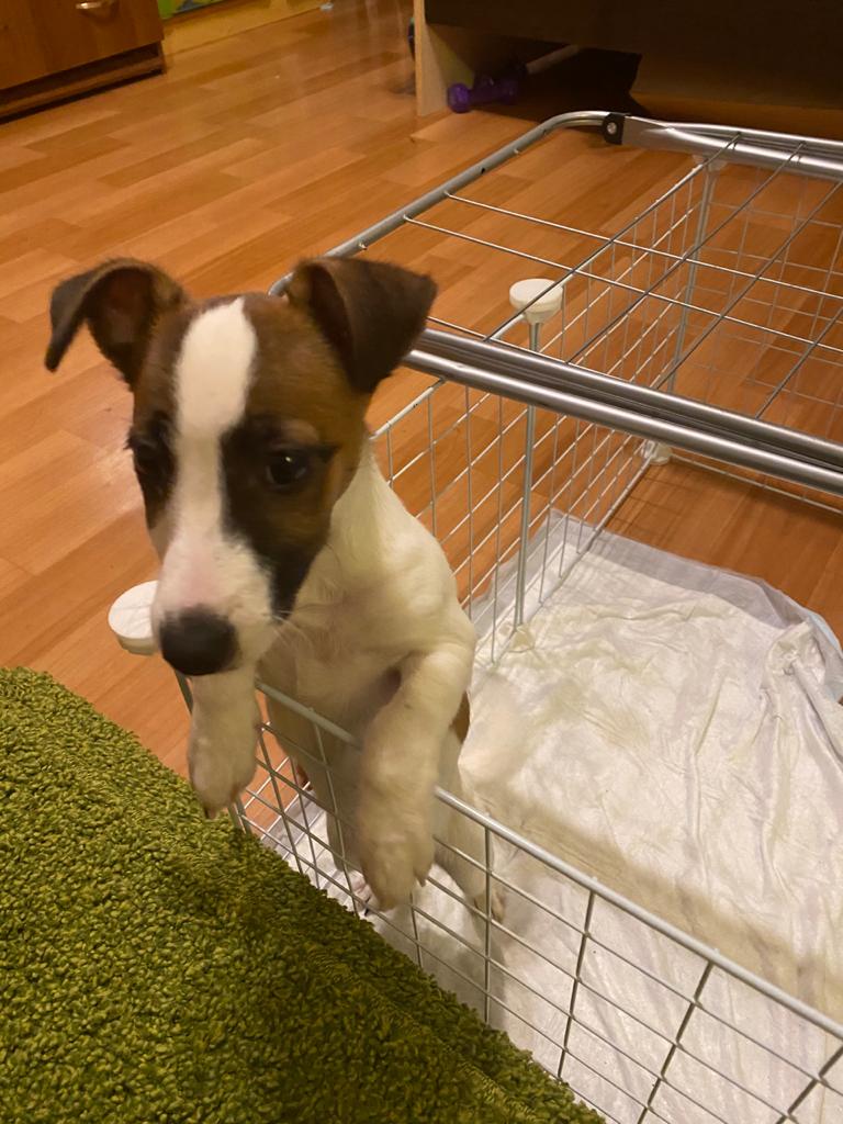 WhatsApp-Image-2021-01-25-at-19.00.40