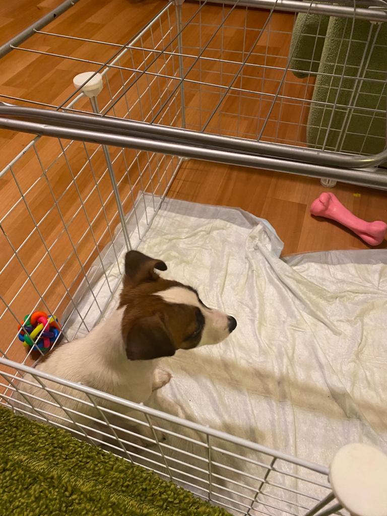 WhatsApp-Image-2021-01-25-at-19.00.52