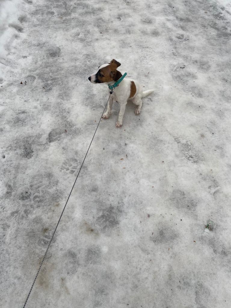 WhatsApp-Image-2021-01-26-at-13.44.35-1