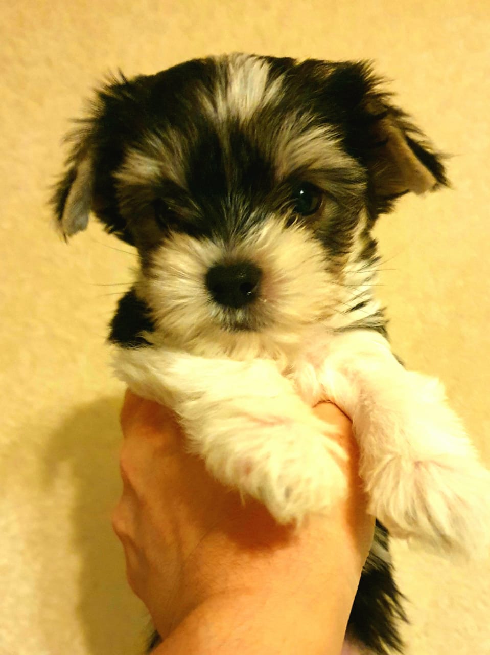 WhatsApp-Image-2021-01-28-at-09.47.47