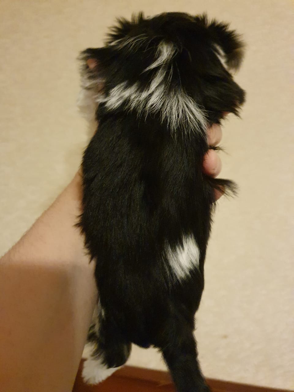 WhatsApp-Image-2021-01-28-at-09.47.48