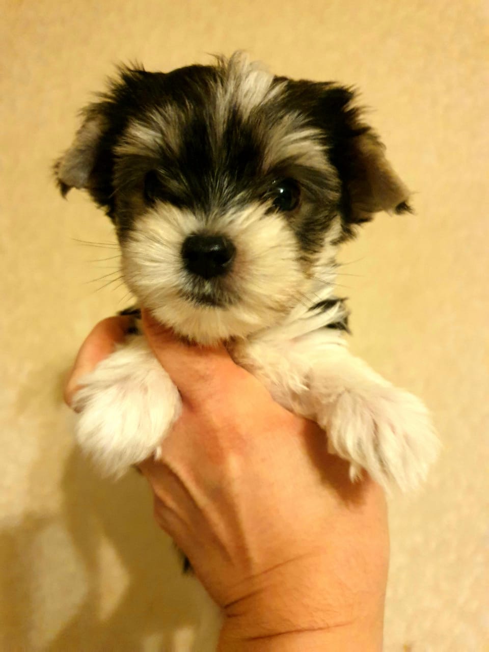 WhatsApp-Image-2021-01-28-at-09.50.49