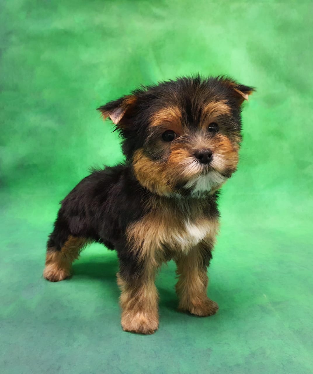 WhatsApp-Image-2021-01-28-at-16.16.39-1