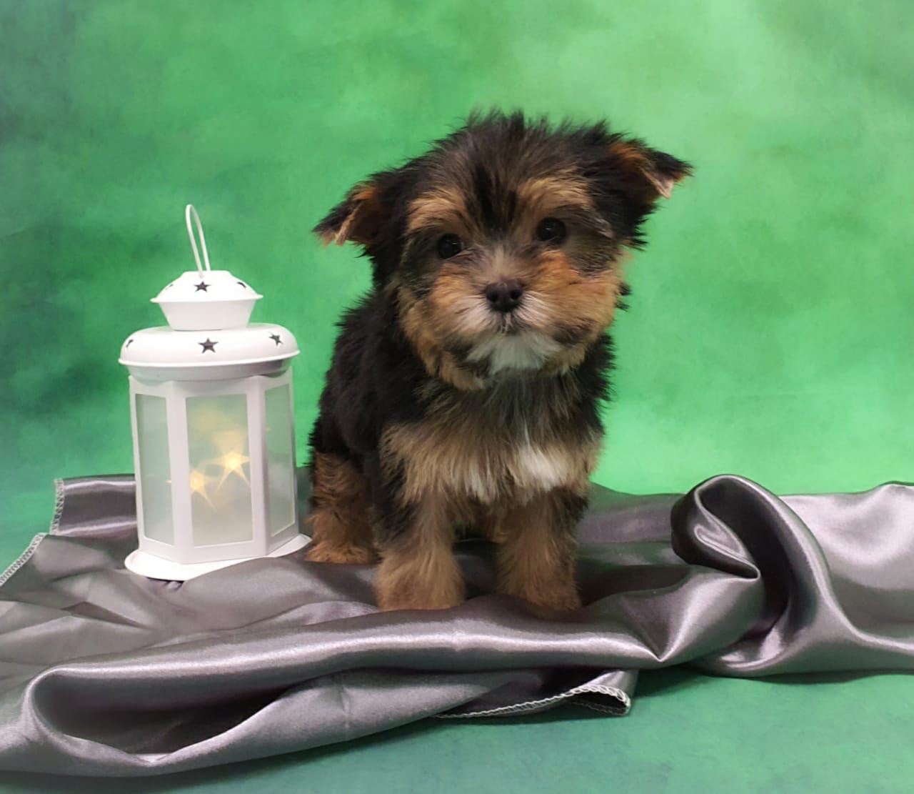 WhatsApp-Image-2021-01-28-at-16.16.39